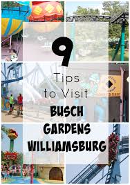 busch gardens williamsburg va