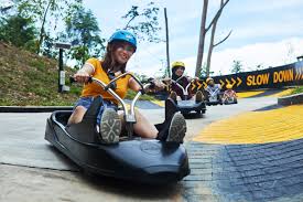 skyline luge activity park to open in