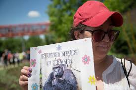 Image result for Cheeto side-by-side with a gorilla climbing a tree