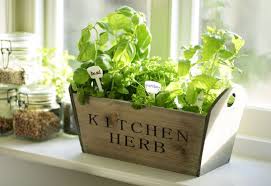 kitchen garden herb window sill box