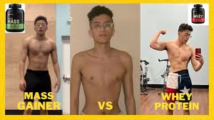 vs whey protein transformation