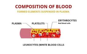 understanding blood composition and its