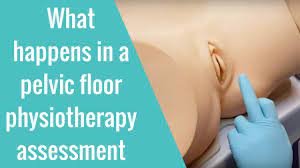 pelvic floor physiotherapy essment