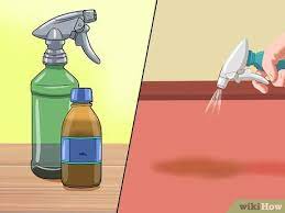 how to clean vomit out of carpet with