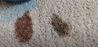 how to get blood out of carpet