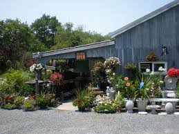 Lowe S Bayshore Nursery Garden Center