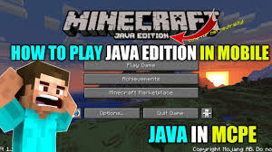 playing minecraft java edition in