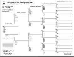 Genealogy 6 Generation Pedigree Chart Helps When Youre