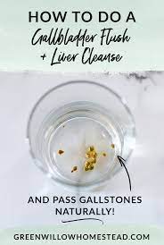 how to do a gallbladder flush and liver