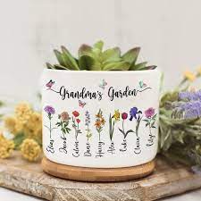 Garden Mini Plant Pot