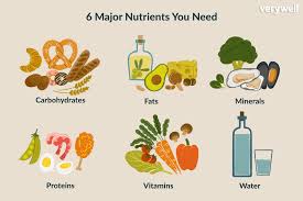 what are nutrients and why do you need