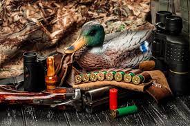 duck hunting images browse 66 729