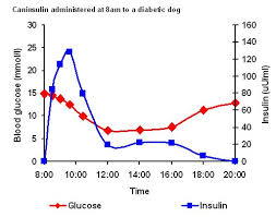 Canines With Diabetes Mellitus Information On Insulin