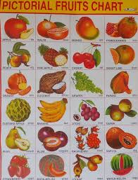 School Chart Print Of Pictorial Fruits Chart In Hindi