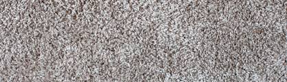 how to get rid of ants in carpet diy