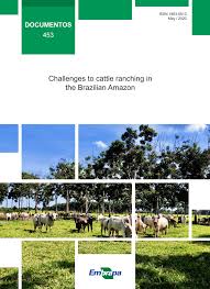 cattle ranching in the brazilian amazon