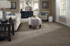 shalimar ornamental carpet