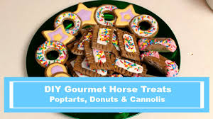 diy gourmet horse treats poptarts