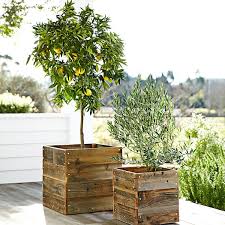 outdoor planters to perk up your garden