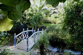 botanic park caribbean tour