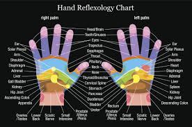Specific Reflexology Foot Chart Ingham Method 31 Printable
