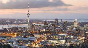 commercial cleaning auckland office