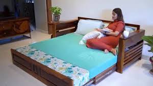 Wooden Sofa Cum Bed At Rs 2599