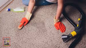 the 14 best carpet cleaning calgary