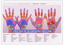 Reflexology Charts For Hands Click For Interactive Maps