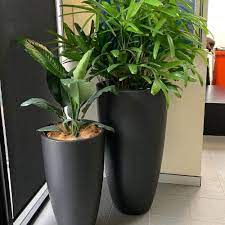 Best D Garden Plant Pots And