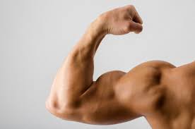 biceps triceps workout