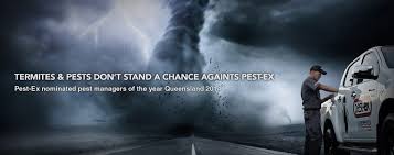 Pestex, your partner in pest control stockton on tees, middlesbrough, billingham. Hello World Pestexcontrol Com Au