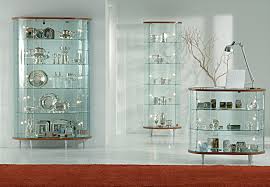 How To Choose A Right Showcase Display Cabinet Exact Viral