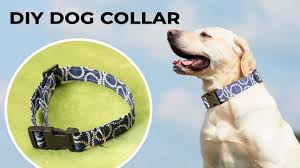 diy dog collar how to sew a dog