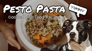 homemade dog food recipe what i feed