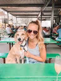 dog friendly houston guide the