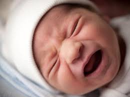Image result for colic
