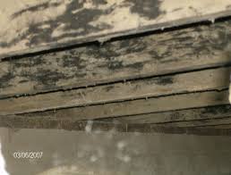 Mold Removal In Chapel Hill Basement