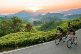 Below are some tips and pointers to help you find the right bicycle among a wide range of options in malaysia. Malaysia S Stunning Cycling Trails To Visit Autobala