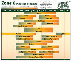 Zone 6 Planting Calendar San Go