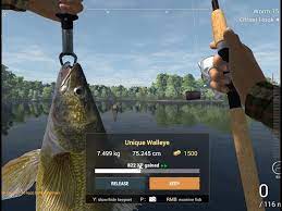 How To Catch Unique Walleye At Saint