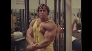 Arnold schwarzenegger, lou ferrigno, mike katz and others. Arnold Has No Easy Way Out Pumping Iron Tribute Youtube