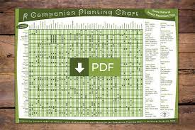 Companion Planting Guide The