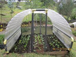 Plastic Bottles To Greenhouses Ideas