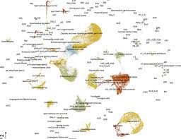 Whole Gene Expression Atlas Of An