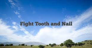 fight tooth and nail english idioms