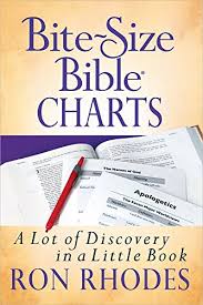 Bite Size Bible Charts A Lot Of Discovery In A Little Book
