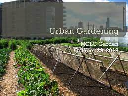 Urban Gardening Powerpoint Presentation