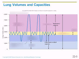 respiratory volumes and capacities