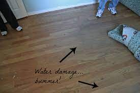 Water Damage Hardwood Floor Helpful